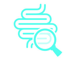 A magnifying glass over a simplified digestive tract.